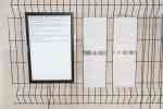 Automated Curation