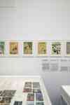 Houses of Tove Jansson
