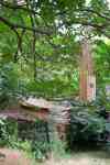 BIRDING II