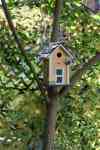 BIRDING II