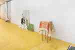 Susan Cianciolo : RUN 14  FIELD of existence