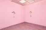 Susan Cianciolo : RUN 14  FIELD of existence