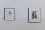 AllTogether by Tom of Finland Foundation and The Community supported by Diesel (PARIS)
