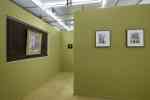 AllTogether by Tom of Finland Foundation and The Community supported by Diesel (PARIS)