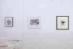 AllTogether by Tom of Finland Foundation and The Community supported by Diesel (PARIS)